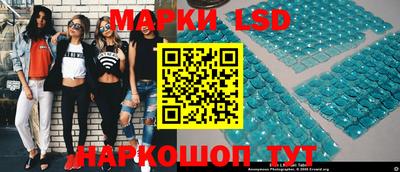 гидра Будённовск