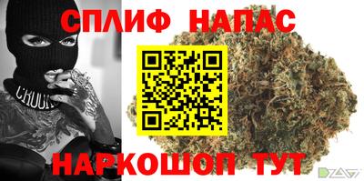 гидра Будённовск