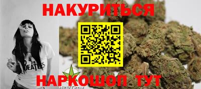 гидра Будённовск