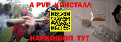 гидра Будённовск